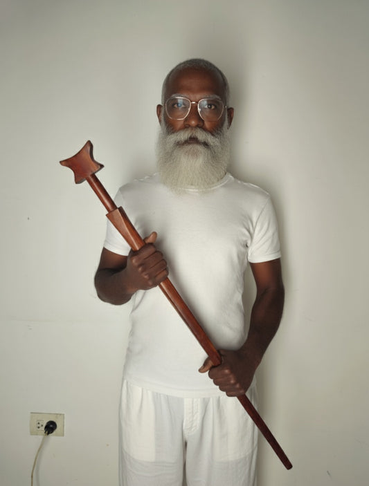 baston en palo brasil