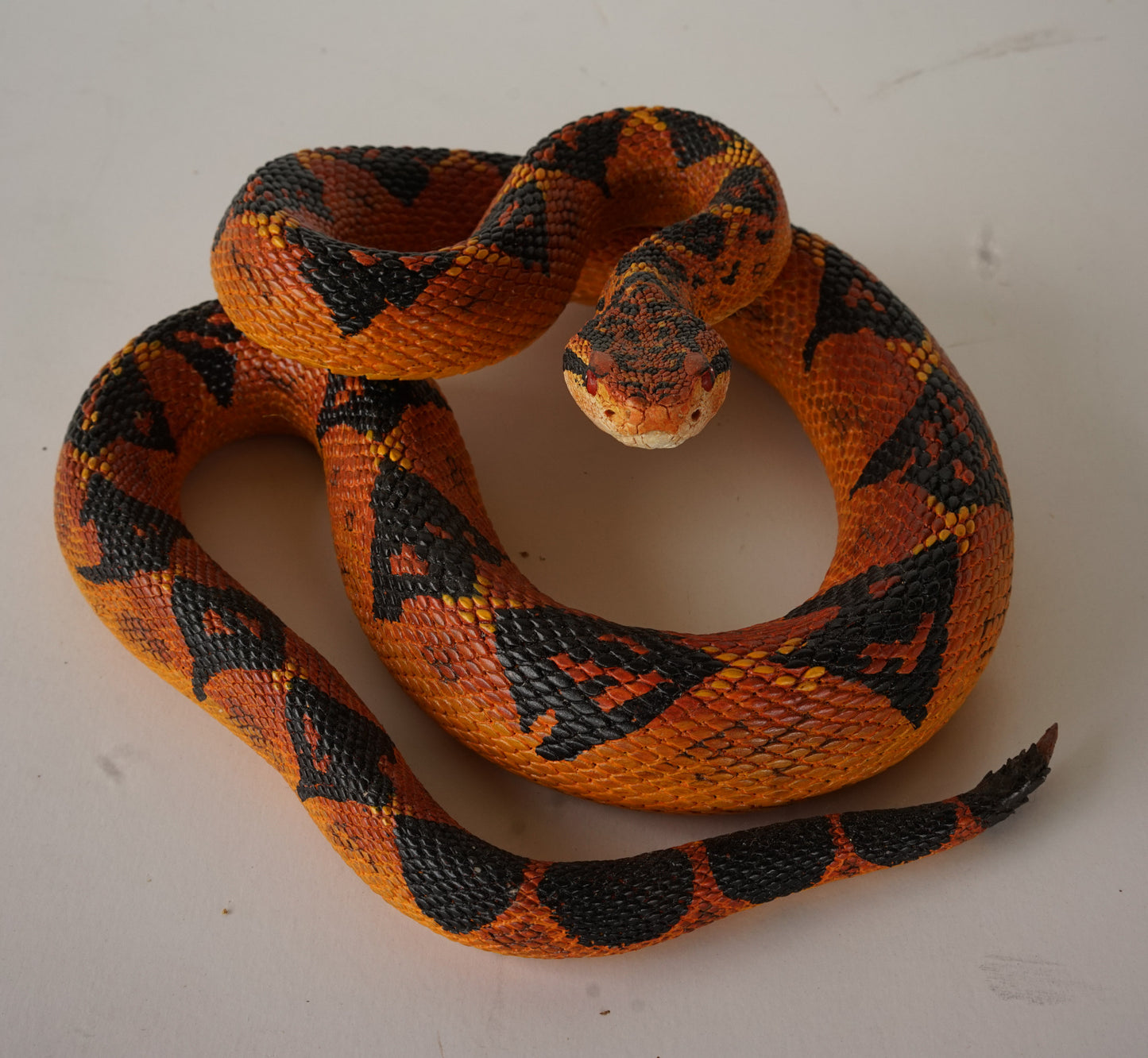 Replica de la serpiente Lachesis - Busmaster