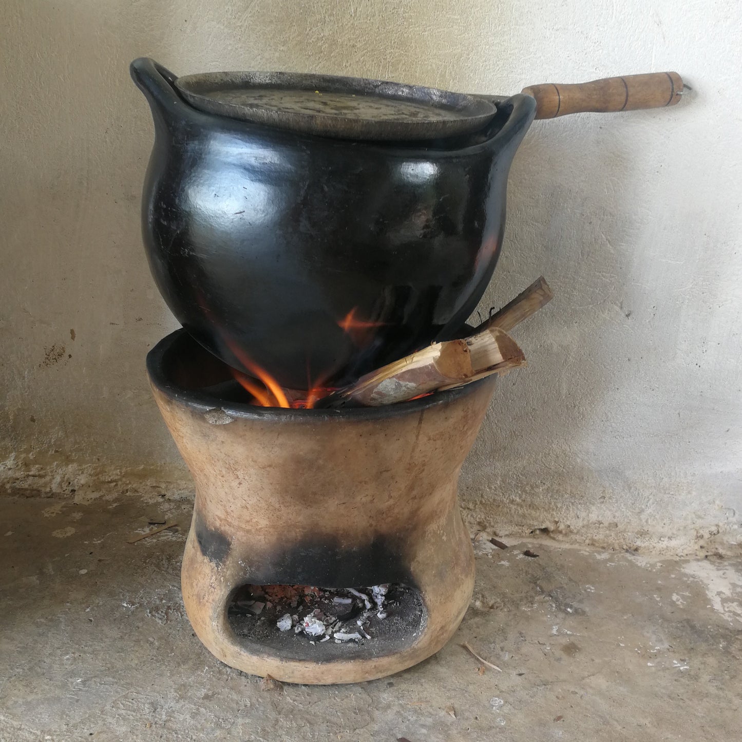 Hornilla Curipaca del Guainia