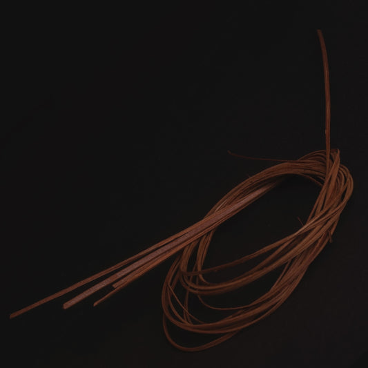 fibra de la palma de chiqui chiqui