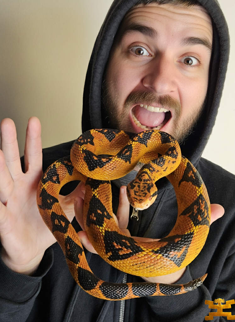 Replica de la serpiente Lachesis - Busmaster