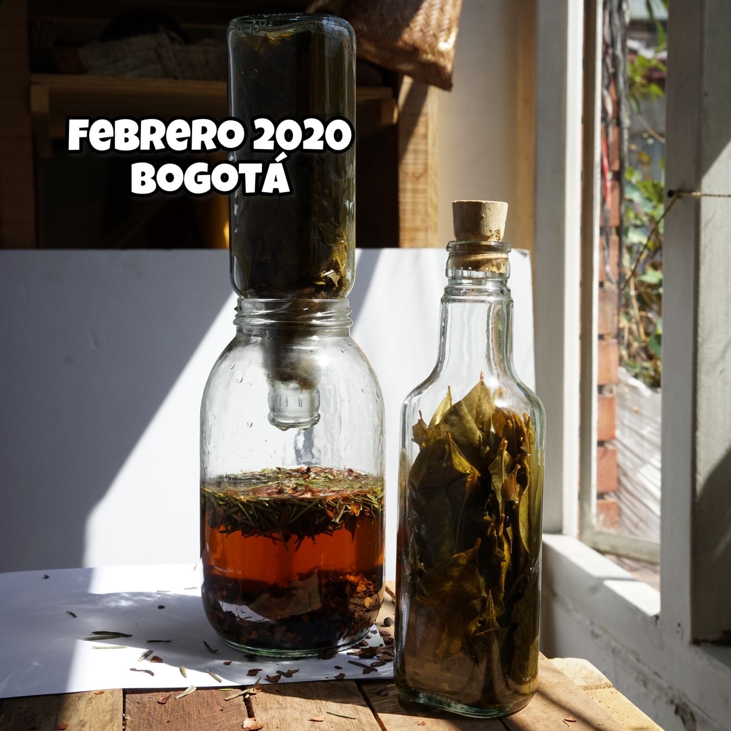 Tintura madre de Chondur y hoja de Coca