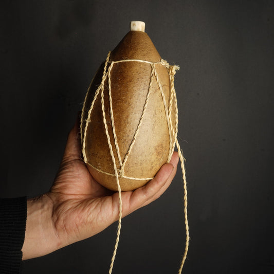 calabaza en totumo